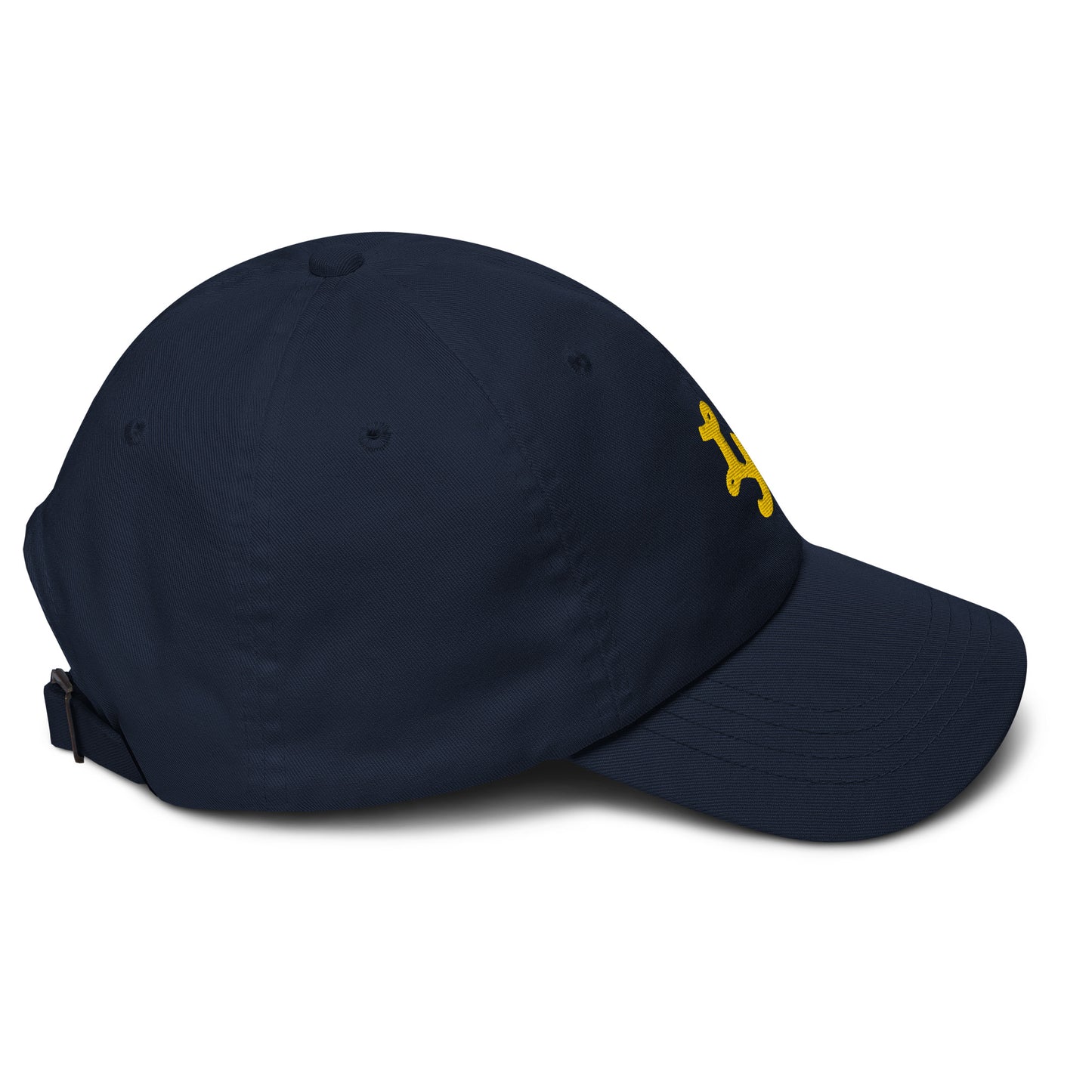 Lake Forest Retro Monogram Dad hat